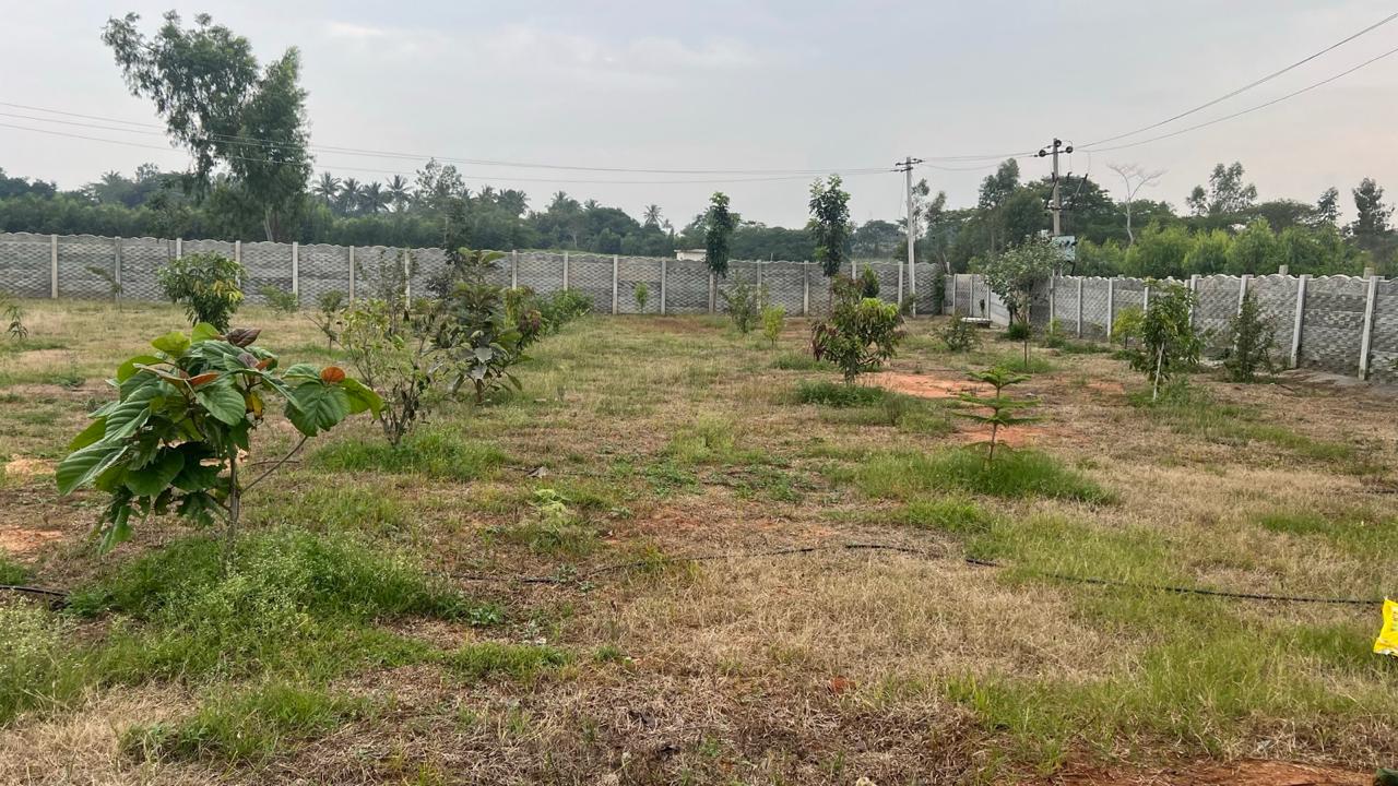 6000sqft farmland in gated community.