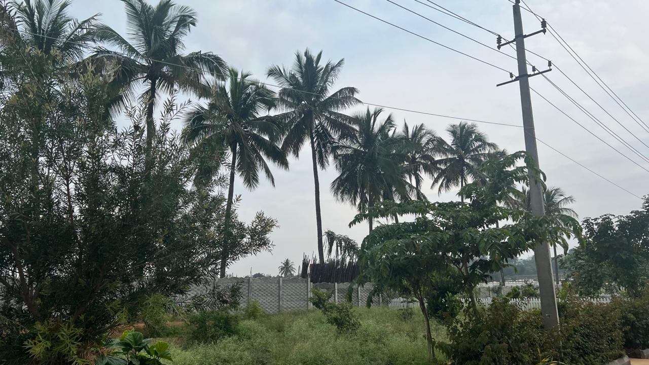 6000sqft farmland in gated community.