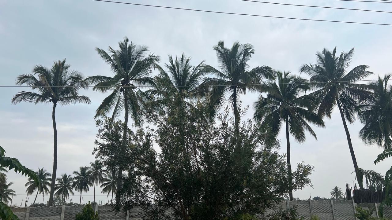 6000sqft farmland in gated community.