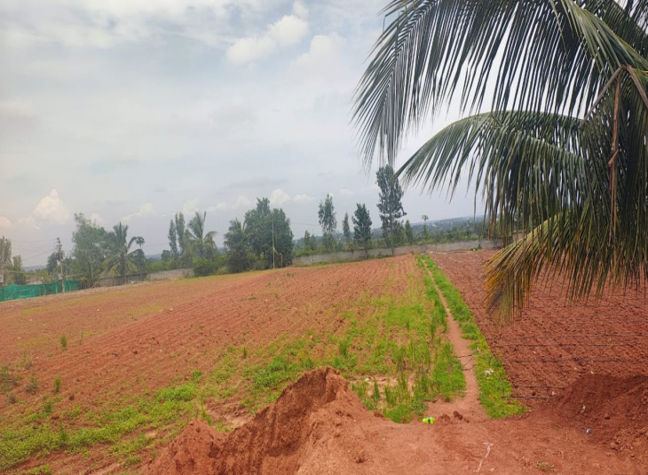 Commercial Plot for Sale at at R T Nagar in Bengaluru