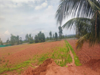 1200-Sq-Ft-Commercial-Property-for-sale-in-Devanahalli-2002-2