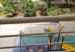 3 BHK flat for sale in sunny verano, Bengaluru