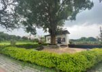 2Bhk and 3bhk flat for rent in Bengaluru