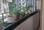 Rent flat for commercial purposes in Bengaluru