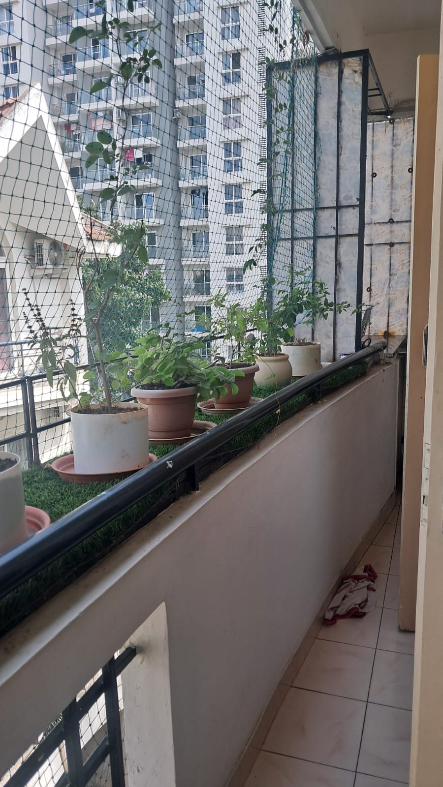 Rent flat for commercial purposes in Bengaluru